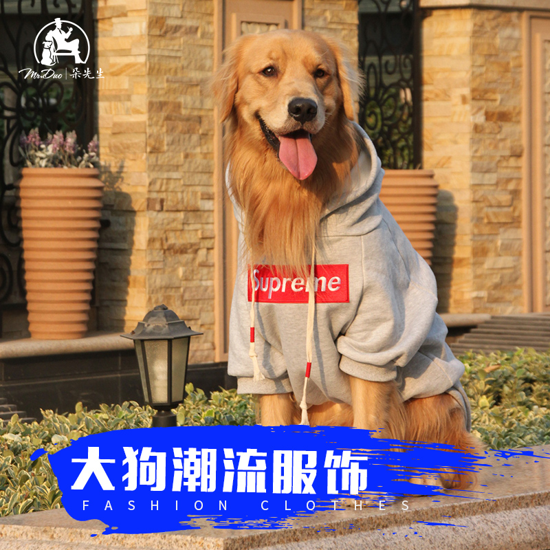 胡须叔叔金毛衣服大型犬春秋衣服卫衣大型犬衣服萨摩拉布拉多衣服在类目 宠物/宠物食品及用品, 宠物服饰及配件, 宠物服装/雨衣中 - 来自Buy2taobao.com提供专业的淘宝代购服务