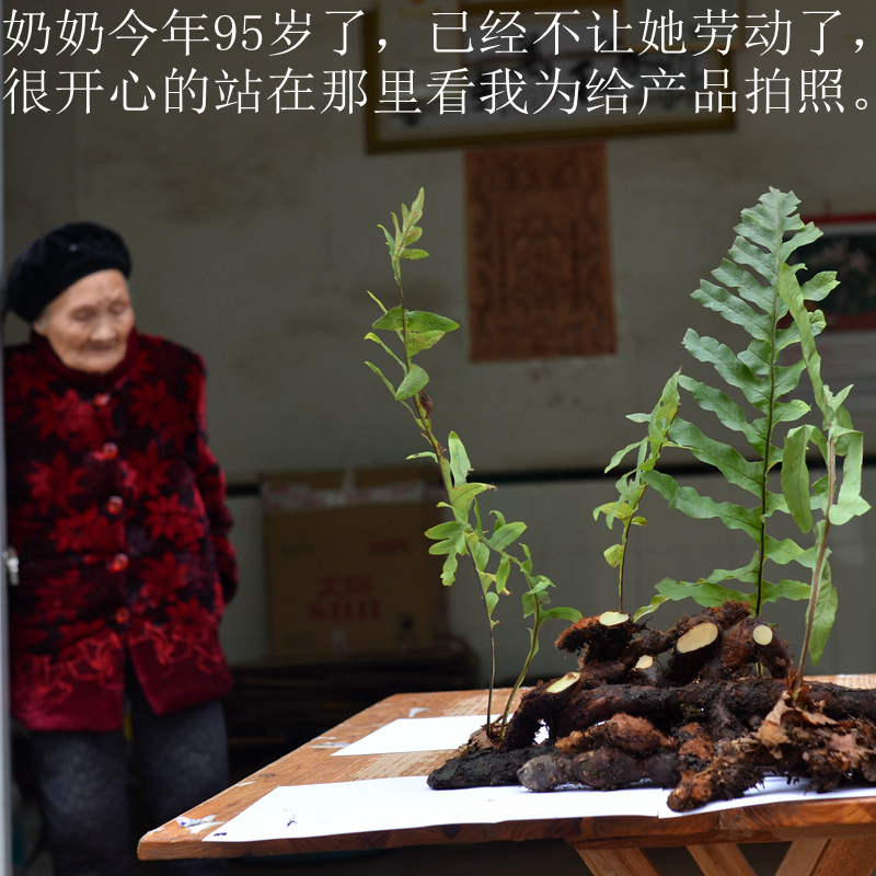 野生新鮮骨碎補爬岩姜巴岩姜毛姜猴子姜申姜 中藥材生發500克包郵在類目 傳統滋補營養品, 藥食同源食品, 其他藥食同源食品中 - 來自Buy2taobao.com提供專業的淘寶代購服務