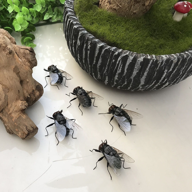 仿真昆虫苍蝇模型装饰品场景布置教育用品舞台拍摄道具磁性冰箱贴|ruв категории Ручная работа, другие характеристики ремесел - от Buy2taobao.com для оказания профессиональной услуги покупки агента Taobao