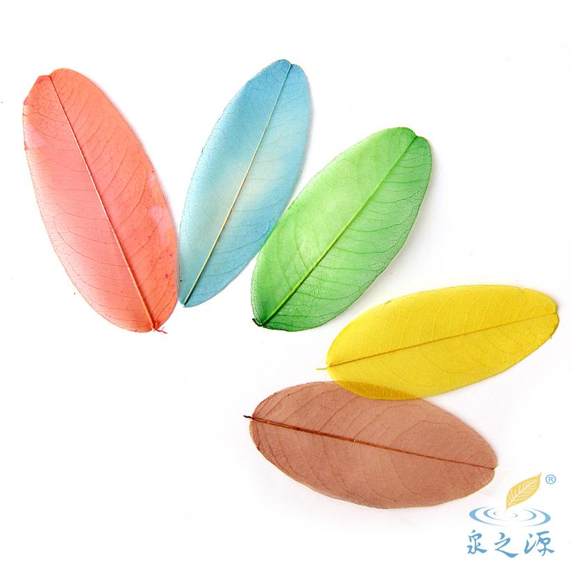 A级多彩羽毛形叶脉标本diy相册相框饰品干花贺卡书签儿童手工材料在类目 家居饰品, 花瓶/花器/仿真花/仿真饰品, 干花/花瓣/干花包/干树枝中 - 来自Buy2taobao.com提供专业的淘宝代购服务