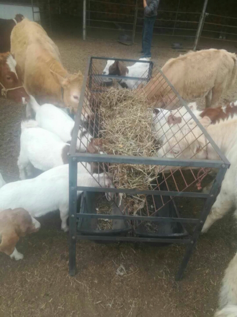 养羊草料架牛槽羊槽马槽料槽草料架橡塑食槽羊饲料槽饮水槽羊槽在类目 畜牧/养殖物资, 畜牧/养殖设备, 畜牧/养殖器械中 - 来自Buy2taobao.com提供专业的淘宝代购服务