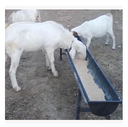加寬型帶排汙閥大羊槽羊料槽牛槽塑料羊槽羊食槽馬槽飲水槽羊槽子在類目 畜牧/養殖物資, 畜牧/養殖設備, 畜牧/養殖器械中 - 來自Buy2taobao.com提供專業的淘寶代購服務
