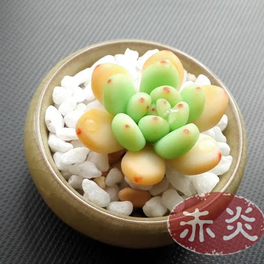 手工定制软陶仿真花永生花多肉多浆植物盆景装饰品车摆办公室摆件|ruв категории персональные настройки/разработка услуг/DIY, ежедневно/украшения на заказ, Другие ежедневно/украшения на заказ - от Buy2taobao.com для оказания профессиональной услуги покупки агента Taobao