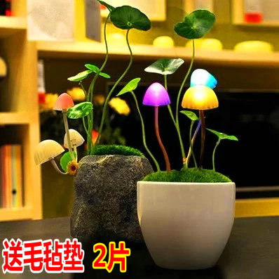 阿凡达蘑菇灯LED小夜灯感应灯装饰灯盆栽创意光控插电床头灯在类目 家装主材, 灯具灯饰, 小夜灯中 - 来自Buy2taobao.com提供专业的淘宝代购服务
