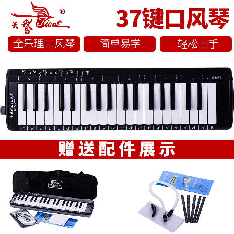 swan Melodica Music theory 37 student Practice teaching match children population major Musical Instrumentsin the Musical Instruments/Guitar/Piano/Fitting , Western musical instruments , Western keyboard instrument , Melodica category - from Buy2taobao.com to provide professional Taobao agent buy service