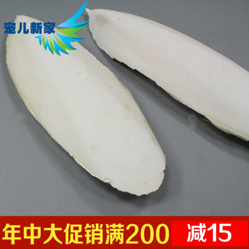 大块墨鱼骨 乌贼骨 海螵蛸鹦鹉 观赏鸟 宠物专用钙片 10元/块在类目 宠物/宠物食品及用品, 鸟类及用品, 鸟食中 - 来自Buy2taobao.com提供专业的淘宝代购服务