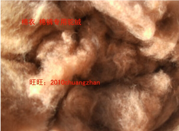 包邮阿拉善骆驼绒250克精选驼绒 保暖精梳骆驼绒 被子棉衣填充在类目 床上用品, 床品定制/定做(新), 被子/被芯定制中 - 来自Buy2taobao.com提供专业的淘宝代购服务