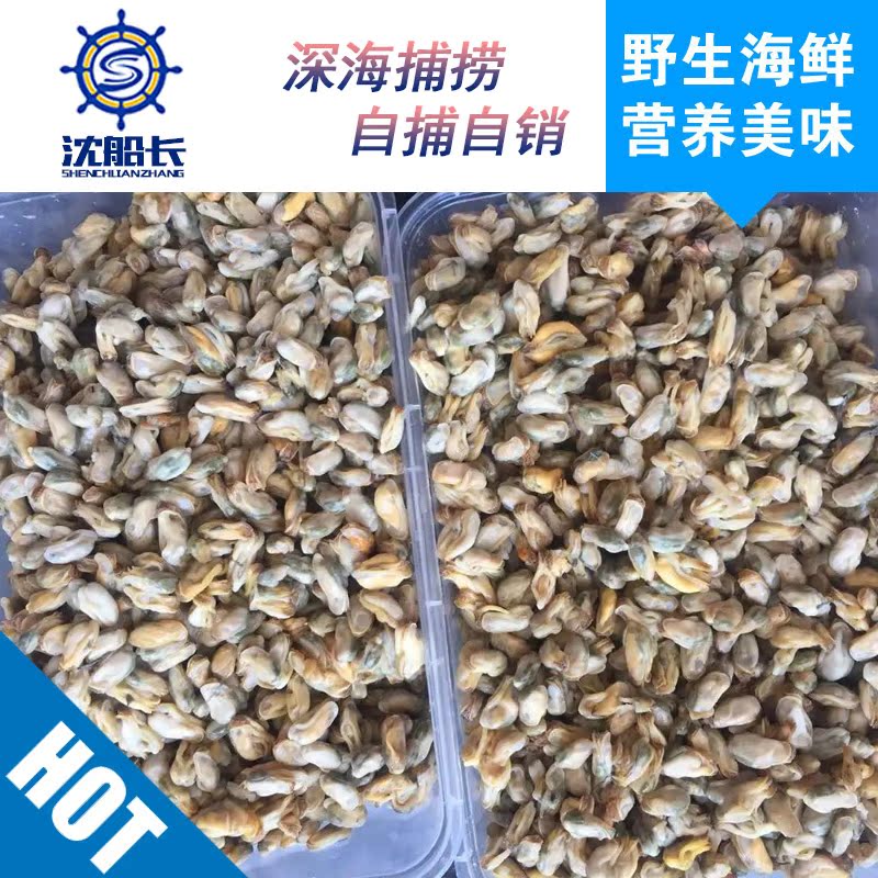 沈船长渔乡沃角特产自家采野生海瓜子肉|msdalam kategori daging perikanan/Buah-buahan segar dan sayur-sayuran/dimasak, makanan laut/produk akuatik/produk, kerang, produk kerang - dari Buy2taobao.com untuk memberikan perkhidmatan ejen Taobao profesional membeli