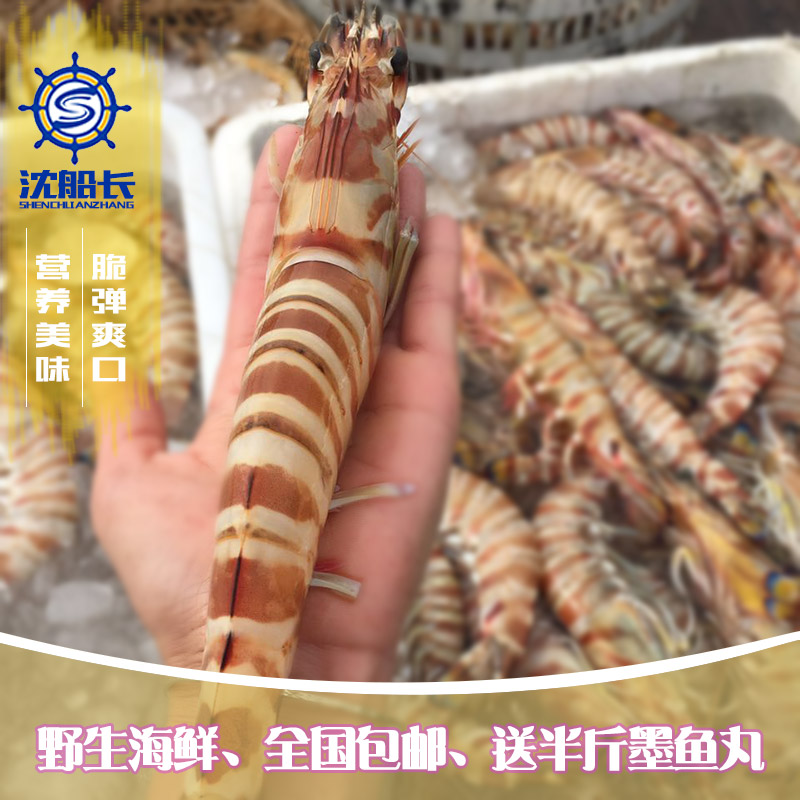 Shrimp in a Shen Ship fresh Aquatic products wild Seafood Shrimp Fresh 3-4 Bar oversize Prawns with shrimp saucein the Aquatic meat/Fresh fruits and vegetables/Cooked , Seafood/Aquatic/Product , Shrimp , Shrimps category - from Buy2taobao.com to provide professional Taobao agent buy service