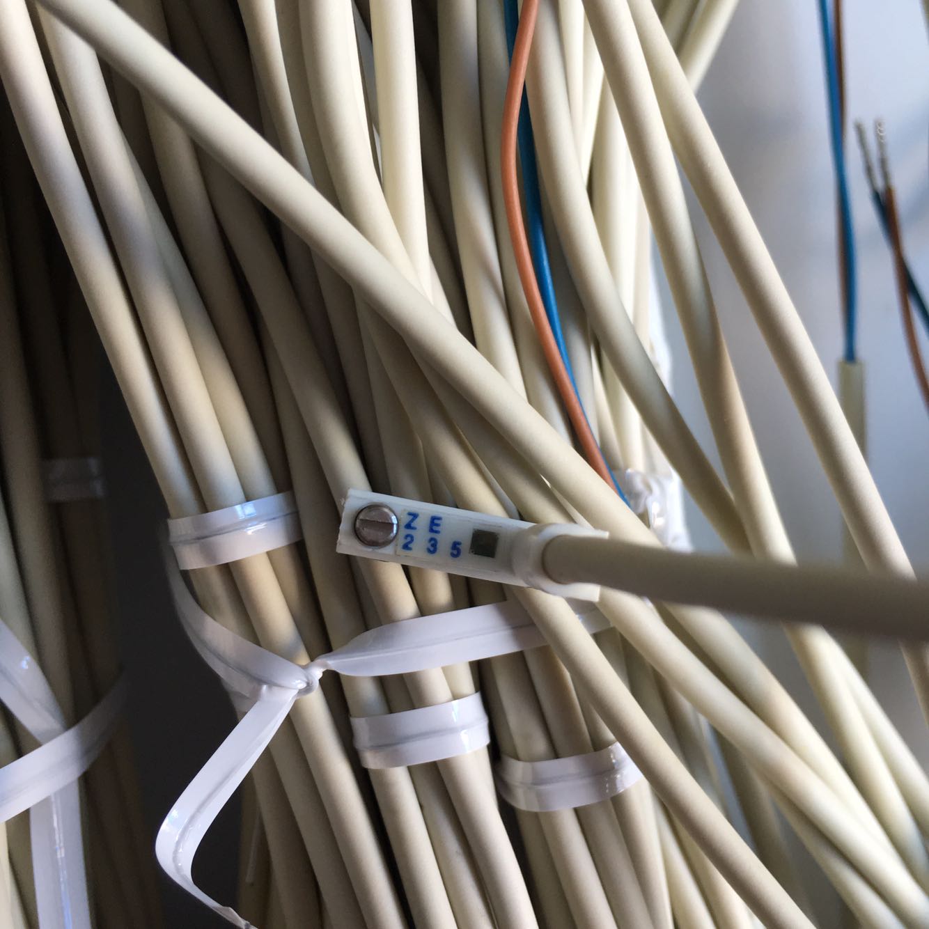 原装正品KOGANEI小金井磁性开关 ZE235 ZE235A ZE235B ZE235C现货|ruв категории оборудование/инструменты, пневматический инструмент, пневматический элемент - от Buy2taobao.com для оказания профессиональной услуги покупки агента Taobao