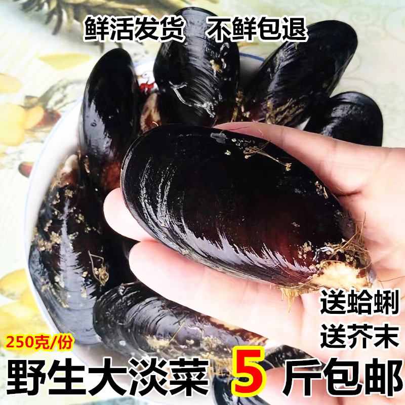 海鲜鲜活水产青口贝新鲜大海虹野生淡菜贻贝大青口贝海鲜贝类烧烤在类目 水产肉类/新鲜蔬果/熟食, 海鲜/水产品/制品, 贝类, 贝类制品中 - 来自Buy2taobao.com提供专业的淘宝代购服务