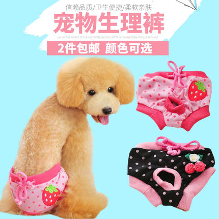 宠物生理裤 母狗狗生理裤泰迪的卫生短裤月经发情防骚扰安全裤|ruв категории животное/Животное питание и принадлежностей, одежды и аксессуаров для домашних животных, физиологические брюки - от Buy2taobao.com для оказания профессиональной услуги покупки агента Taobao