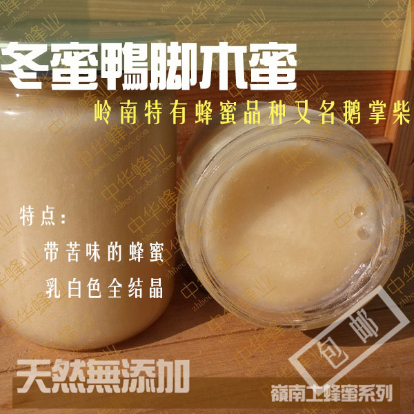 深圳蜂场 新鲜天然冬蜜鸭脚木蜜 农家成熟鹅掌柴野土蜂蜜在类目 传统滋补营养品, 蜂蜜中 - 来自Buy2taobao.com提供专业的淘宝代购服务