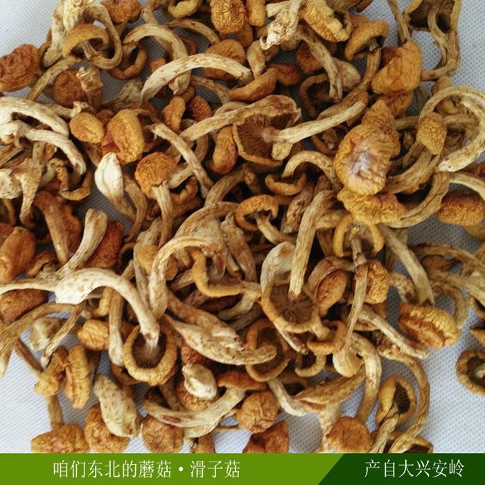 新货 东北大兴安岭特产 滑子蘑滑子菇干货小黄蘑菇 2件包邮在类目 粮油米面/南北干货/调味品, 南北干货/肉类干货, 干货/土特产, 香菇类中 - 来自Buy2taobao.com提供专业的淘宝代购服务
