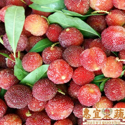 Bayberry fresh SF 4 jin outfit Myrica nana Sweet acid and refreshing The benefits of fruits and vegetables should bein the Aquatic meat/Fresh fruits and vegetables/Cooked , Fresh fruit , Other category - from Buy2taobao.com to provide professional Taobao agent buy service