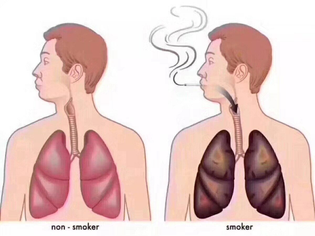 洗肺 戒煙神器 純天然燕窩在類目 自用閒置轉讓, 珠寶/黃金/手錶, 手錶中 - 來自Buy2taobao.com提供專業的淘寶代購服務