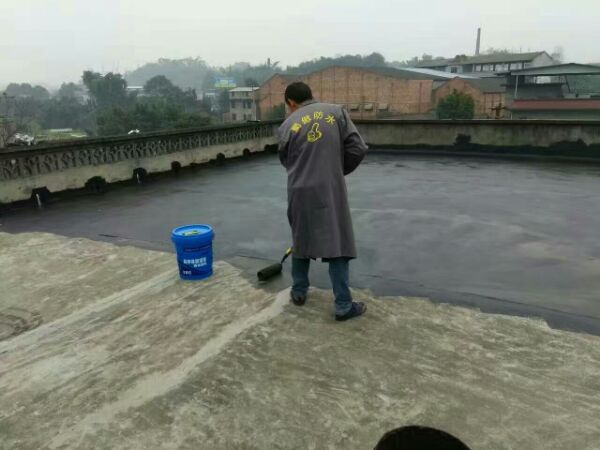 橡塑沥青防水胶乳在类目 基础建材, 油漆, 油漆辅料, 防水涂料中 - 来自Buy2taobao.com提供专业的淘宝代购服务