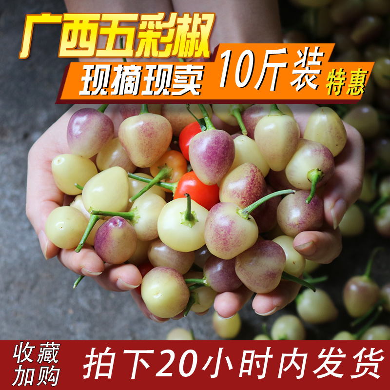 Capsicum peppers fresh Guangxi specialty pickled pepper Five peppers Pepper Pepper Rainbowin the Aquatic meat/Fresh fruits and vegetables/Cooked , Fresh vegetables/Vegetable products , Fresh vegetables , Other category - from Buy2taobao.com to provide professional Taobao agent buy service