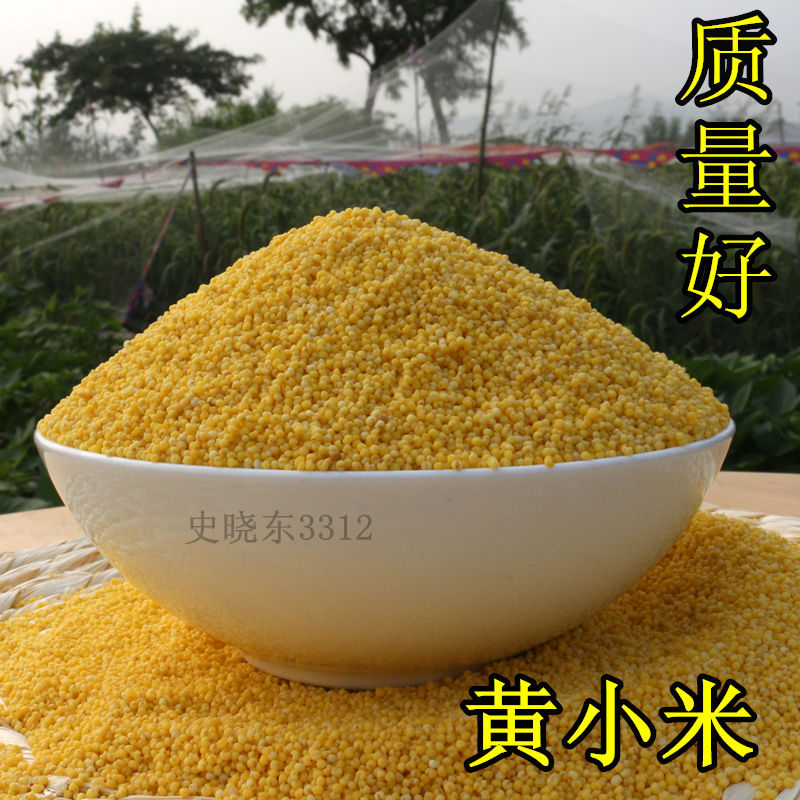 2018年新产农家小米子黄小米小黄米月子米小米粥宝宝米500g=1斤|msdalam kategori beras/Utara-Selatan barangan kering/perasa, meter/tepung/bijirin, RICE, Millet - dari Buy2taobao.com untuk memberikan perkhidmatan ejen Taobao profesional membeli