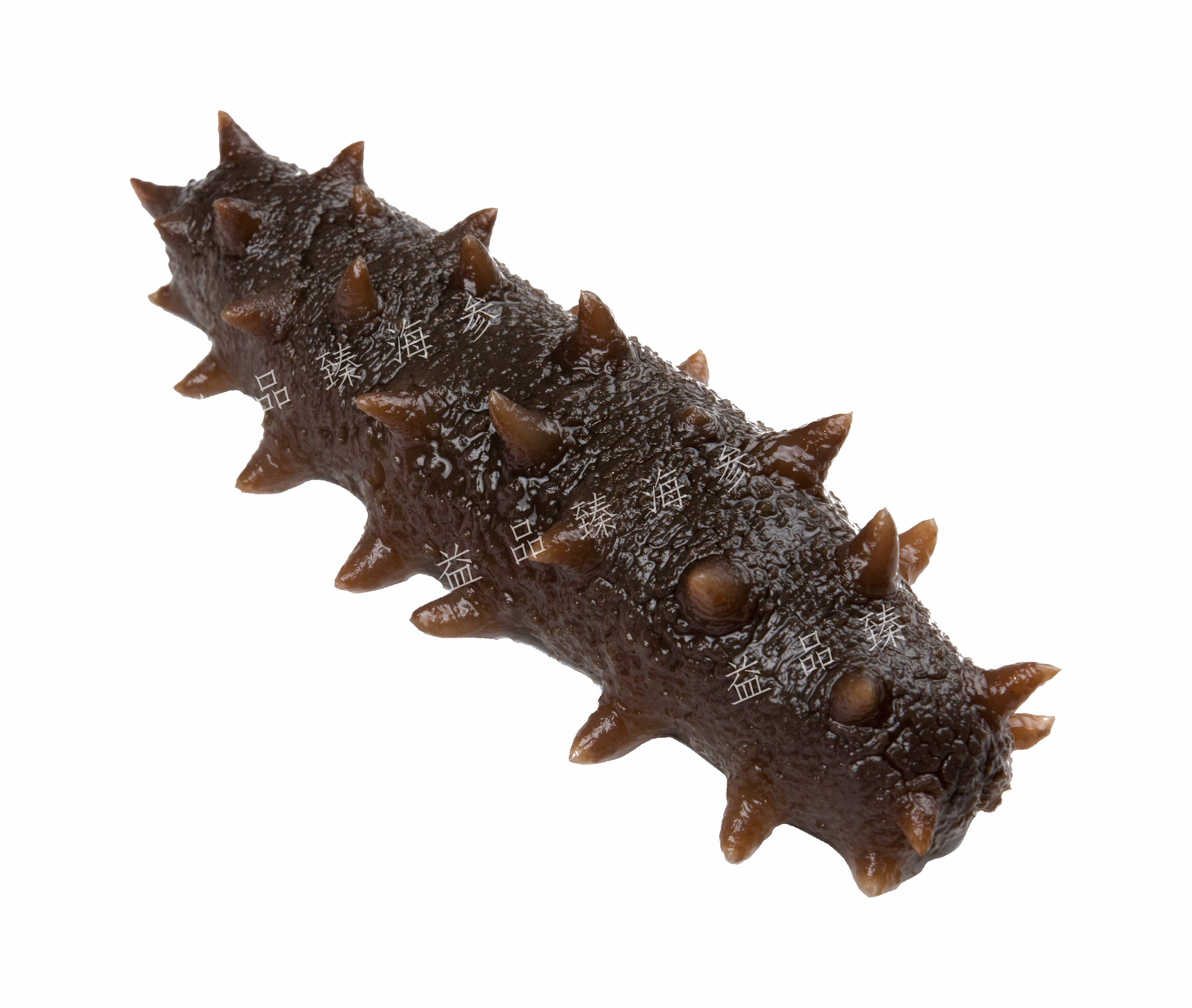 Sea cucumber deep sea 6-7 Dry sea cucumber 50g Wild sea cucumber dried food Gift box sea cucumberin the Office Equipment/Consumables/Related Services , Packaging Equipment/Signs and supplies , Gift Box category - from Buy2taobao.com to provide professional Taobao agent buy service