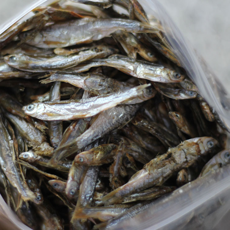 Dried fish Turtle Dried shrimp Tortoise feed Freshwater fish freshwater Dried shrimp Snapping Turtle Red-eared Tortoise Terrapinsin the Pet/Pet food and supplies , Aqua World , Turtle Watch/Turtle feed category - from Buy2taobao.com to provide professional Taobao agent buy service