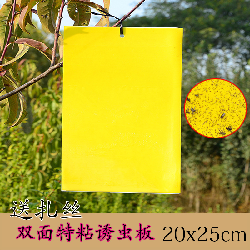 黄板双面粘虫板诱虫蓝板纸贴黄色灭小飞虫沾果蝇粘板果园蓟马大棚在类目 鲜花速递/花卉仿真/绿植园艺, 园艺用品, 其它园艺用品中 - 来自Buy2taobao.com提供专业的淘宝代购服务