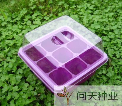 *透明9孔育苗盒 出口育苗盒三件套 新手播种 简单方便 可配土A|ruв категории доставка цветов/цветок моделирования/растения садоводства, садовых принадлежностей, питомник диск/питательный горшок - от Buy2taobao.com для оказания профессиональной услуги покупки агента Taobao