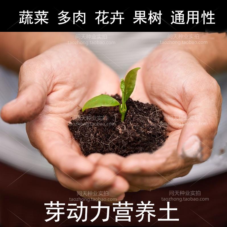 配置好的泥炭土营养土种花土种菜土多肉种植土育苗土 好种好养A在类目 鲜花速递/花卉仿真/绿植园艺, 园艺用品, 家庭园艺肥料/营养土/营养液中 - 来自Buy2taobao.com提供专业的淘宝代购服务