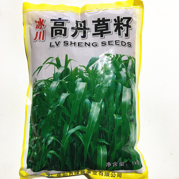 冰川 高丹草草籽苏丹草种子牧草种籽鱼草种籽 养殖 牛羊猪 畜牧草在类目 鲜花速递/花卉仿真/绿植园艺, 花卉/蔬果/草坪种子(新), 家庭园艺种子中 - 来自Buy2taobao.com提供专业的淘宝代购服务