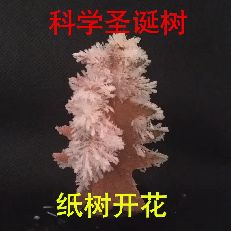 兒童玩具科學實驗品紙樹開花生長聖誕樹創意新穎禮品在類目 玩具/童車/益智/積木/模型, 學習/實驗/繪畫文具, 科學實驗中 - 來自Buy2taobao.com提供專業的淘寶代購服務