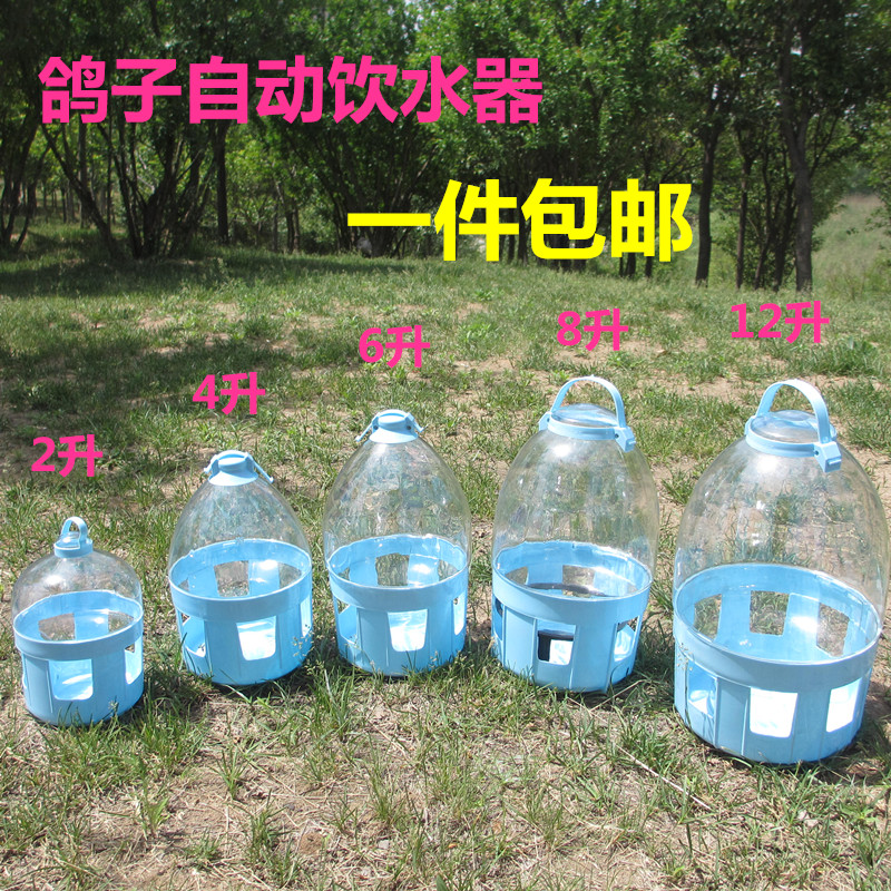 dove kettle automatic Water dispenser chick water tank Food trough 2-4-6-8-10-12L Pigeon appliancesin the Pet/Pet food and supplies , Birds and supplies , Bird appliances (New) , Other category - from Buy2taobao.com to provide professional Taobao agent buy service