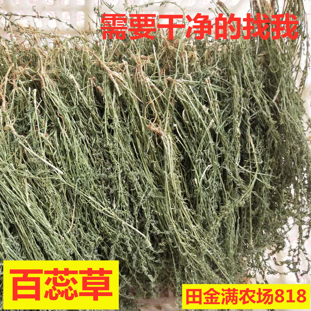 老田特产百蕊草 青龙草 百乳草小草细须草 麦黄草 野生500克包邮在类目 传统滋补营养品, 药食同源食品, 其他药食同源食品中 - 来自Buy2taobao.com提供专业的淘宝代购服务