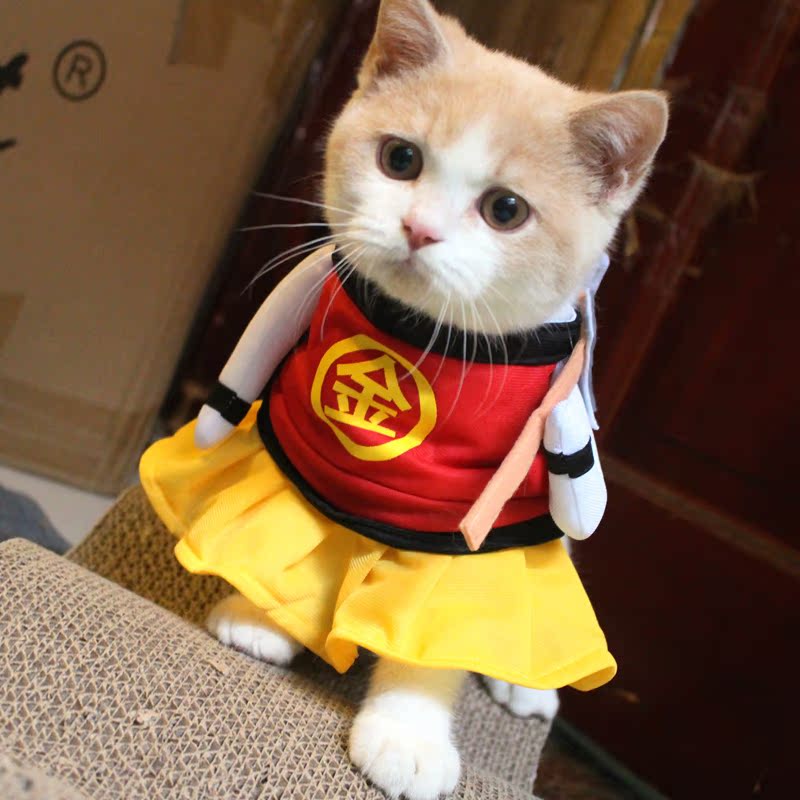 Kintaro Kitty Transfiguration equipment Funny Upright English short Fold cats clothes Cats and dogs Funnyin the Pet/Pet food and supplies , Pet apparel and accessories , Pet clothing/Raincoat category - from Buy2taobao.com to provide professional Taobao agent buy service