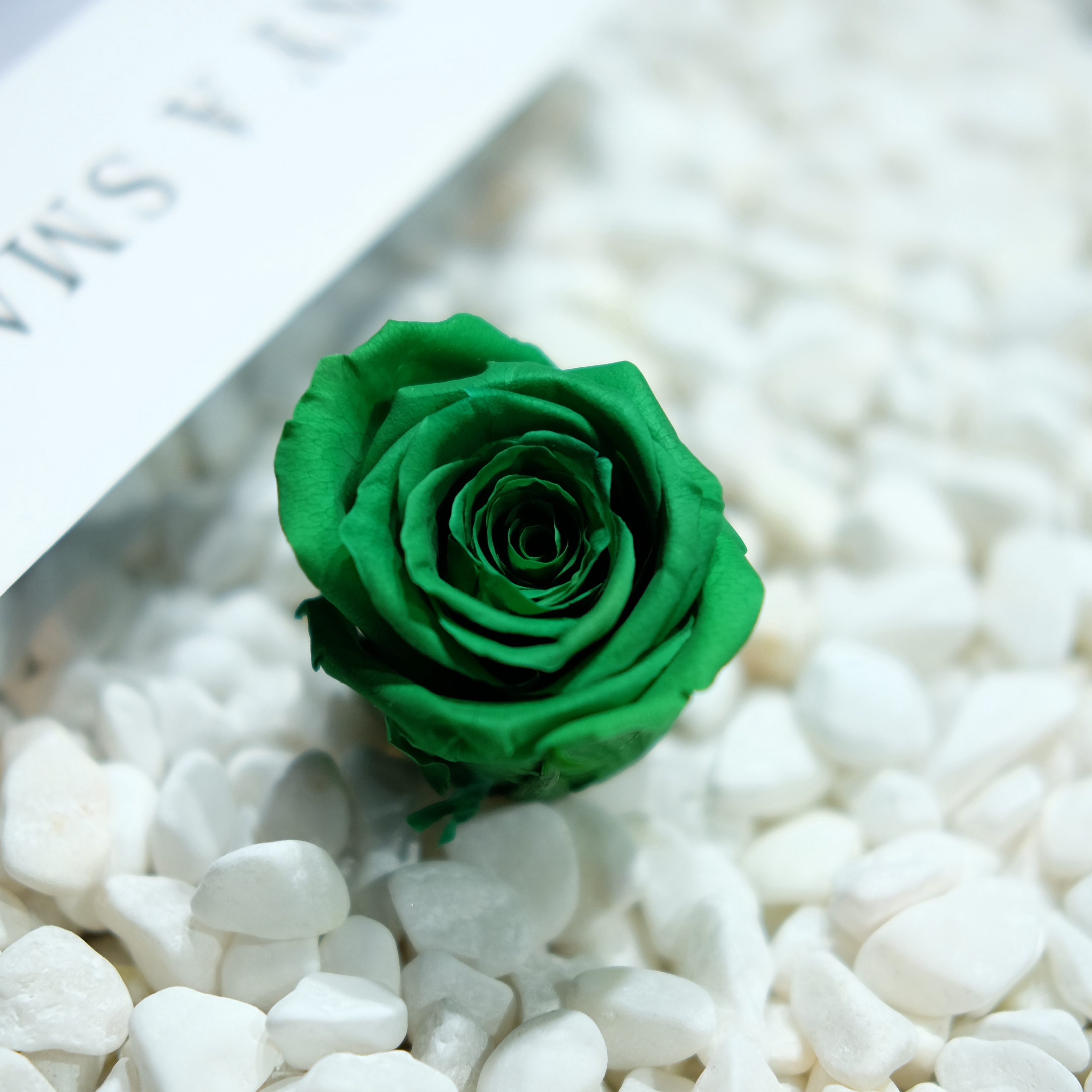 FreezeLove出口级墨绿色玫瑰 永生花保鲜花花盒diy主花花材4-5cm|ruв категории Домашний быт, ваза/цветок/искусственные цветы/моделирование украшения, цветок/ваза, ваза - от Buy2taobao.com для оказания профессиональной услуги покупки агента Taobao