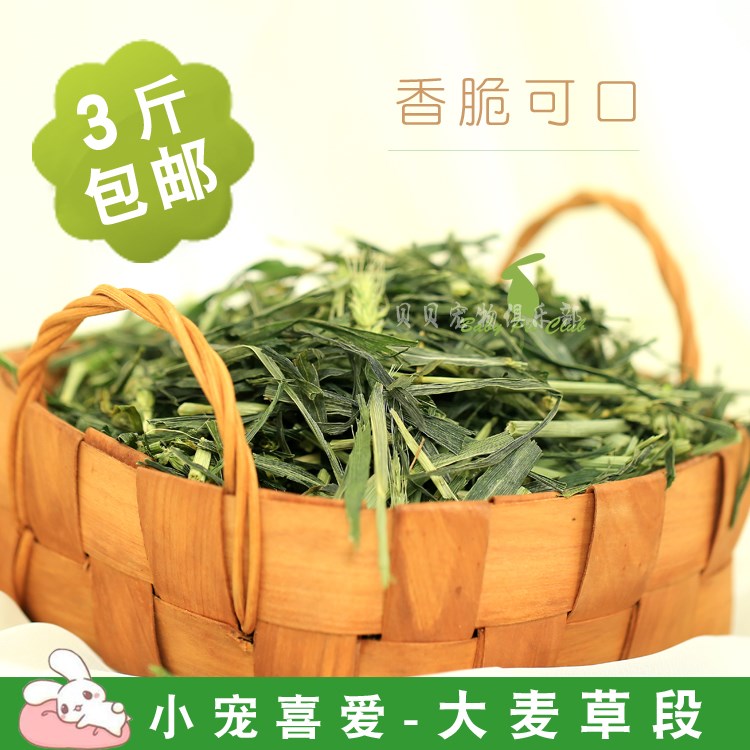 3斤包邮新大麦草段干草牧草250g荷兰猪草天竺鼠兔子龙猫豚鼠饲料|msdalam kategori haiwan peliharaan/makanan haiwan dan bekalan, Arnab dan bekalan, Bunny rumput kering - dari Buy2taobao.com untuk memberikan perkhidmatan ejen Taobao profesional membeli
