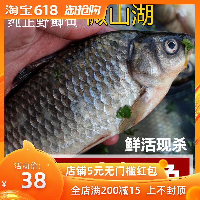 Weishan fresh wild Crucian carp Grass carp Wild fish Fresh freshwater Crucian carp pregnant woman Soup Nutrition 500gin the Aquatic meat/Fresh fruits and vegetables/Cooked , Seafood/Aquatic/Product , Freshwater Fish category - from Buy2taobao.com to provide professional Taobao agent buy service