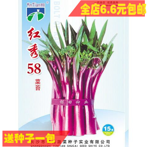 Silver seed industry Vegetable Seeds Vegetable seed sprouts Armbands 58 Red Cabbage Seeds 15 gram full 6.6 elementin the Agricultural goods , Seed/Seedlings , Vegetable Seeds category - from Buy2taobao.com to provide professional Taobao agent buy service