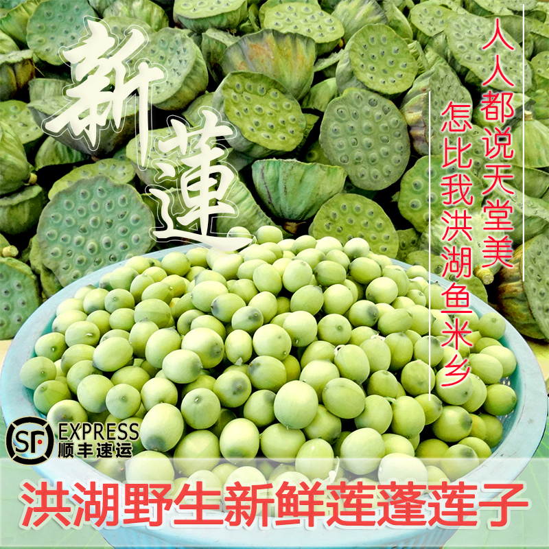 洪湖莲子新鲜莲蓬生吃米鲜嫩莲子3斤水果低温泡沫箱加冰顺丰包邮|ruв категории зерно риса/север и Юг сухих грузов/приправы, север и Юг сухих грузов/мясо сухих грузов, сухогрузный/родной, семена лотоса - от Buy2taobao.com для оказания профессиональной услуги покупки агента Taobao