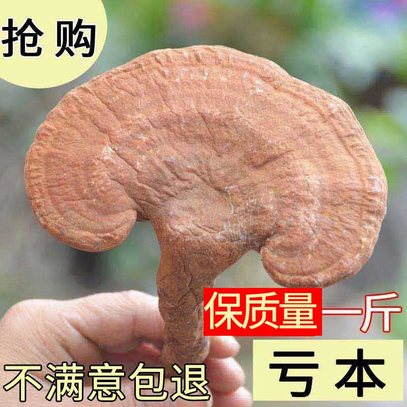 灵芝 大别山赤灵芝 整枝完整灵芝 高山赤灵芝 带柄灵芝 包邮灵芝在类目 传统滋补营养品, 灵芝, 整枝灵芝中 - 来自Buy2taobao.com提供专业的淘宝代购服务