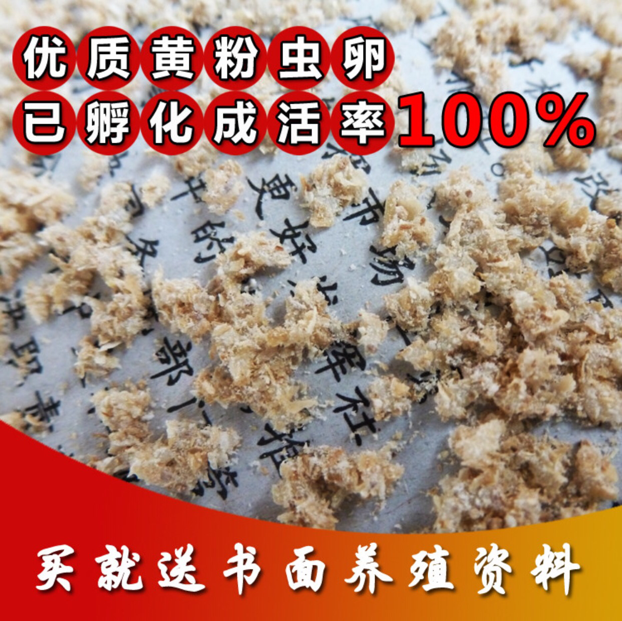 黃粉蟲卵 面包蟲卵孵化出的幼蟲可作石蛙等活體的飼料在類目 寵物/寵物食品及用品, 鳥類及用品, 鳥食中 - 來自Buy2taobao.com提供專業的淘寶代購服務