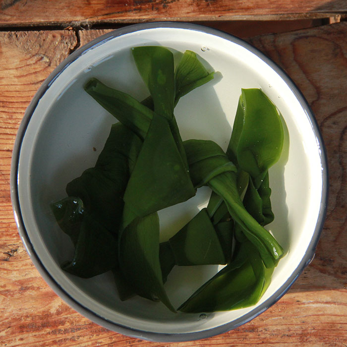扇贝婆婆海带结大连盐渍昆布扣海白菜结海菜扣火锅麻辣拌食材500在类目 水产肉类/新鲜蔬果/熟食, 海鲜/水产品/制品, 藻类, 海带中 - 来自Buy2taobao.com提供专业的淘宝代购服务