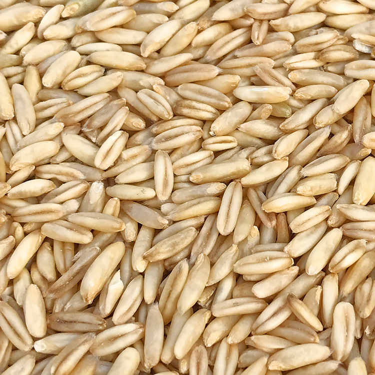 燕麥米/鳥食/鳥糧/雀麥/野麥/燕麥仁/虎皮鹦鹉/牡丹玄風五件包郵在類目 寵物/寵物食品及用品, 鳥類及用品, 鳥食中 - 來自Buy2taobao.com提供專業的淘寶代購服務
