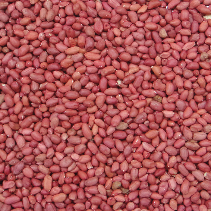 Pigeon food parrot Bird food high quality Redskins peanut Red peanuts birdseed Bird food Medium-sized parrots 500gin the Pet/Pet food and supplies , Birds and supplies , Bird food category - from Buy2taobao.com to provide professional Taobao agent buy service