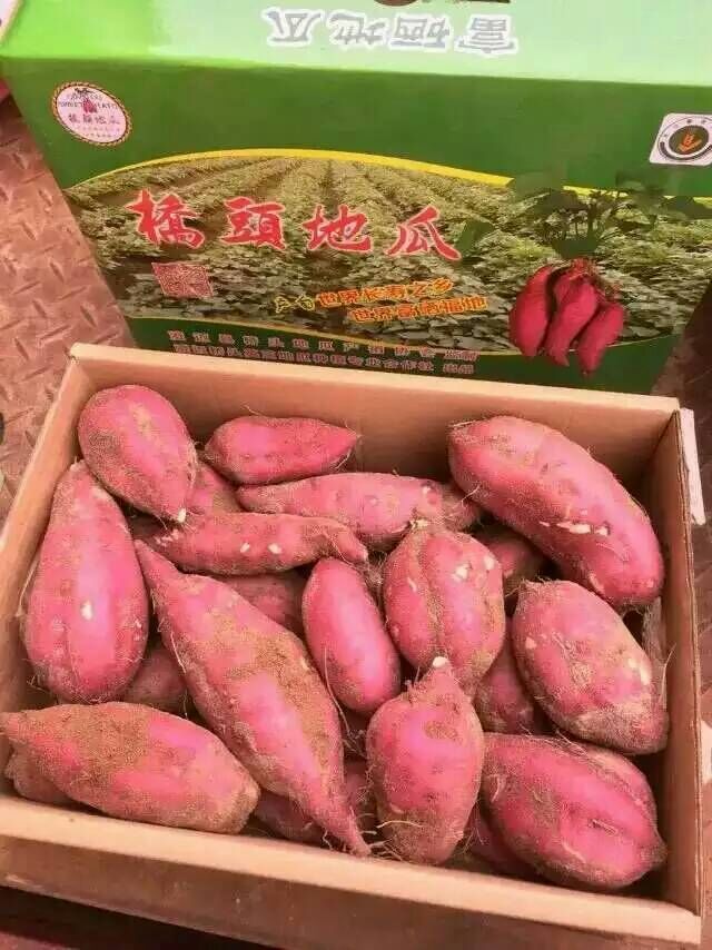 海南橋頭富硒日本地瓜橋沙地瓜10斤精品裝 2019新鮮 板栗薯紅番薯在類目 水產肉類/新鮮蔬果/熟食, 新鮮蔬菜/蔬菜製品, 新鮮蔬菜, 番薯中 - 來自Buy2taobao.com提供專業的淘寶代購服務