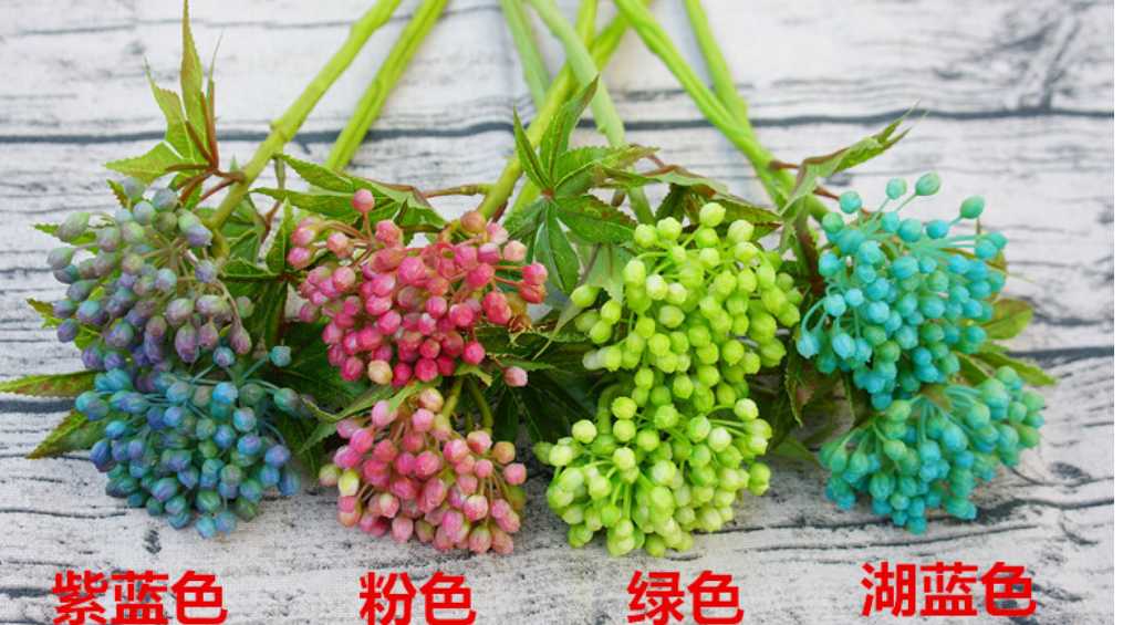 南王星果绿植墙植物墙材料多肉植物|msdalam kategori bekalan perayaan/hadiah, set perkahwinan/props, Perkahwinan bunga sutera - dari Buy2taobao.com untuk memberikan perkhidmatan ejen Taobao profesional membeli