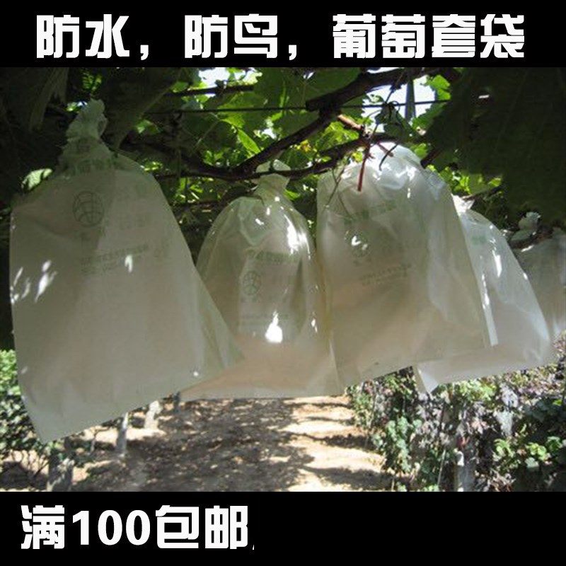 Grape belt paper Bagging grape Protective bag Pest control grape Fruit bag Fruit Bag Fruit treein the Flower delivery/Flowers simulation/Plants gardening , Gardening supplies , Other Garden Supplies category - from Buy2taobao.com to provide professional Taobao agent buy service