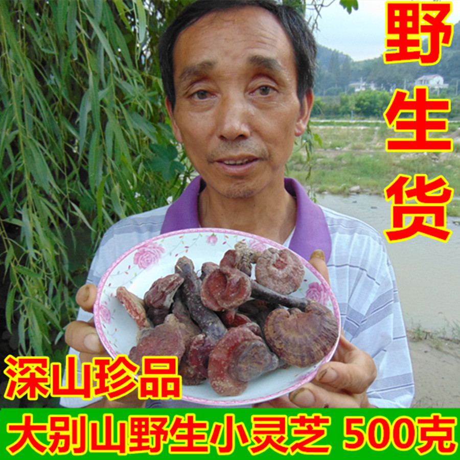 灵芝大别山野生灵芝霍山赤芝林芝有粉新货包邮非长白山神农架灵芝在类目 传统滋补营养品, 灵芝, 整枝灵芝中 - 来自Buy2taobao.com提供专业的淘宝代购服务