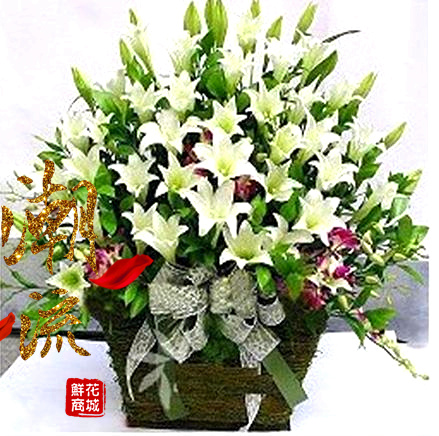 Taizhou Flower shop express The opening Housewarming Art exhibition Vocal concert Flower basket Blessing Lily Wenling Ryan Same cityin the Flower delivery/Flowers simulation/Plants gardening , Business with flowers category - from Buy2taobao.com to provide professional Taobao agent buy service
