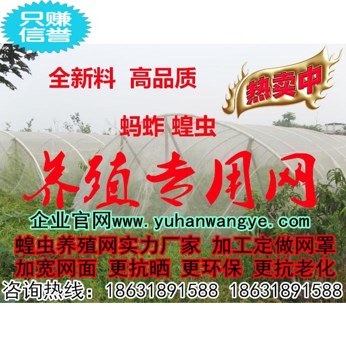定制 养蚂蚱网 养殖网罩成品 加厚耐用蚂蚱蝗虫养殖专用网可制作|msdalam kategori Jentera pertanian/alat-alat ladang/kepingan plastik, kepingan plastik/tarpaulin/penutup rangkaian/rumah hijau, pertanian Serangga - dari Buy2taobao.com untuk memberikan perkhidmatan ejen Taobao profesional membeli