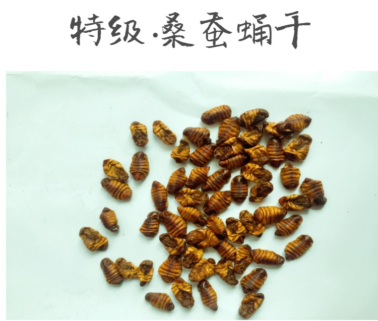 陕南特产蚕桑基地石泉蚕蛹新特级蚕蛹干纯干桑蚕蛹新鲜原味500克在类目 粮油米面/南北干货/调味品, 南北干货/肉类干货, 干货/土特产, 其它中 - 来自Buy2taobao.com提供专业的淘宝代购服务
